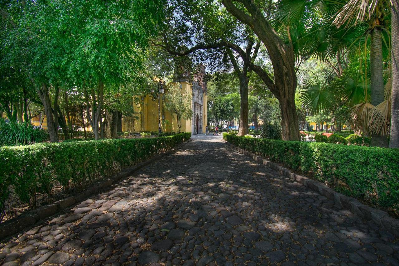 דירות מקסיקו סיטי Fl 59 Coyoacan At Your Doorstep! מראה חיצוני תמונה