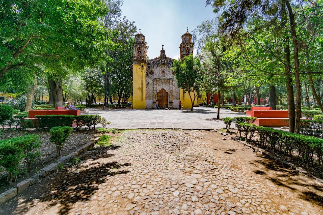 דירות מקסיקו סיטי Fl 59 Coyoacan At Your Doorstep! מראה חיצוני תמונה