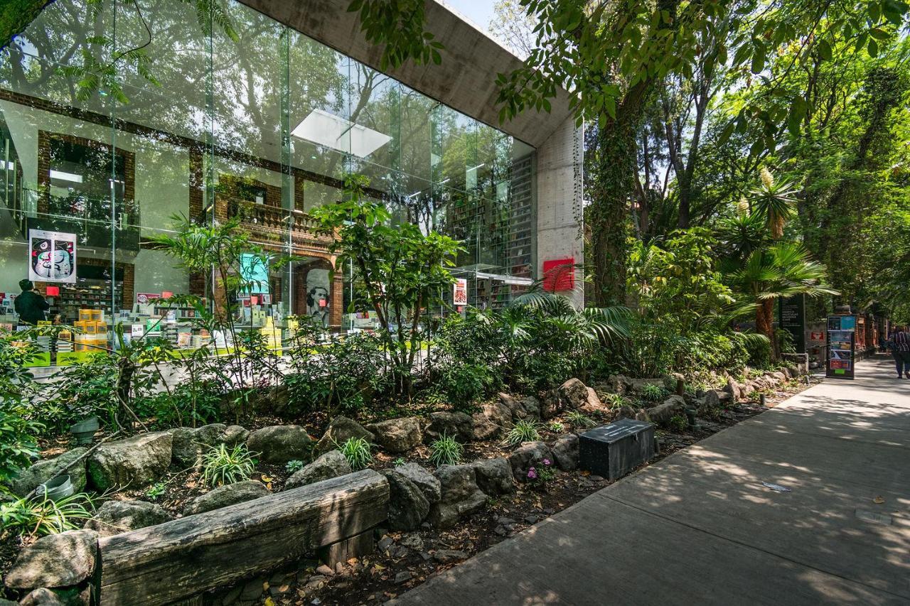 דירות מקסיקו סיטי Fl 59 Coyoacan At Your Doorstep! מראה חיצוני תמונה